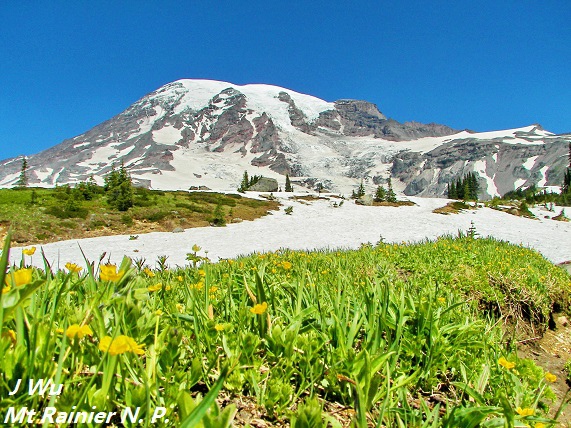 0803 Mt Rainier (133).JPG