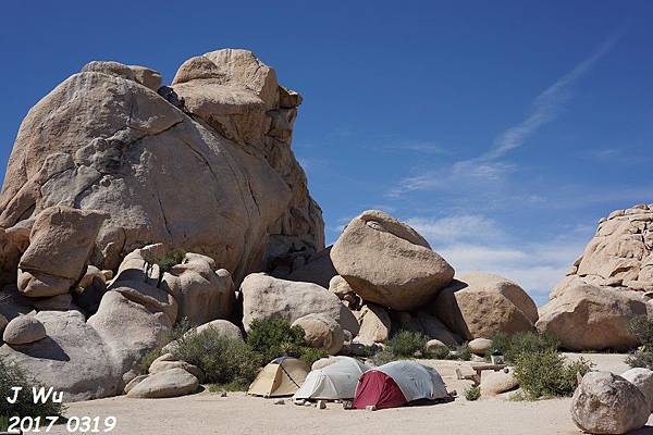 0319 Joshua Tree with brother Hsu (166).JPG