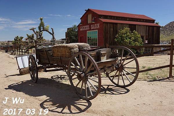 0319 Joshua Tree with brother Hsu (144).JPG