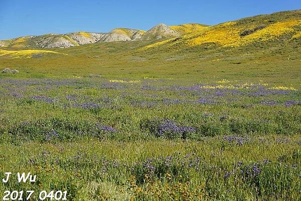 0401 Diesel at Carrizo Plain  (125).JPG