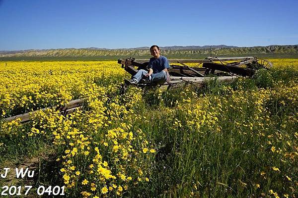 0401 Diesel at Carrizo Plain  (191).JPG