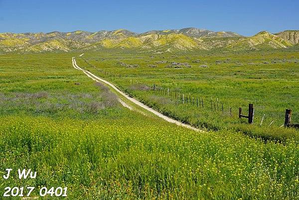 0401 Diesel at Carrizo Plain  (221).JPG