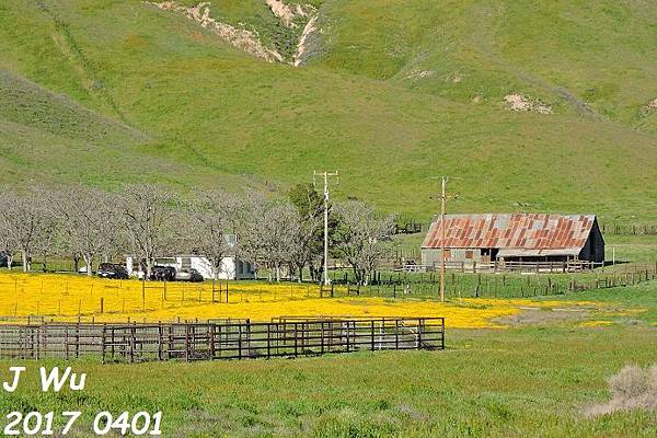 0401 Diesel at Carrizo Plain (2).JPG