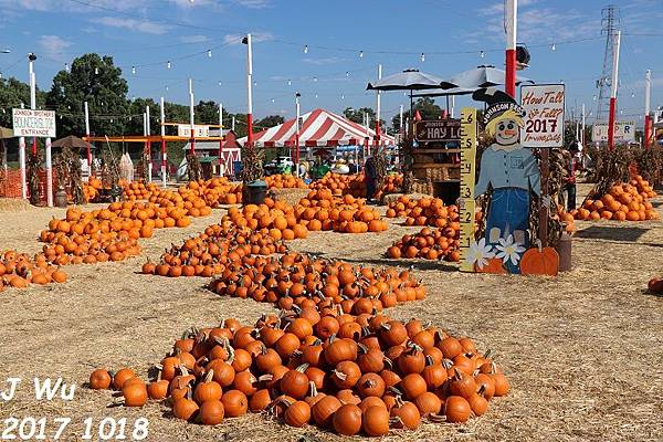 20171020 pumpkin patch (1).JPG