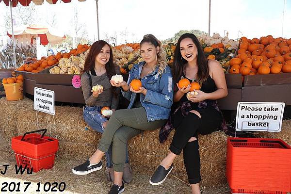 20171020 pumpkin patch (27).JPG