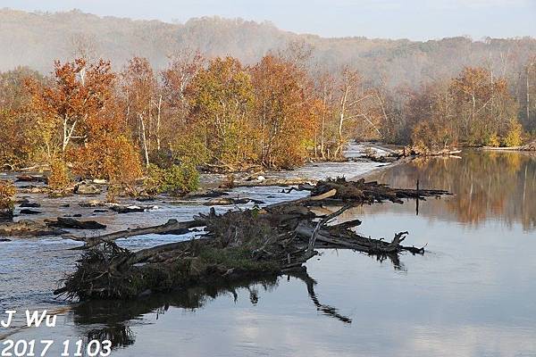 1103 Maryland fall color (17).JPG