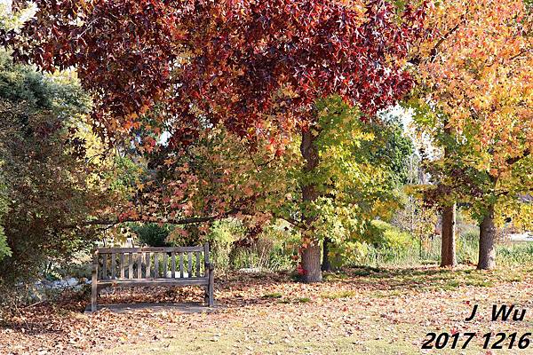 1216 (33).JPG 1216 (33).JPG