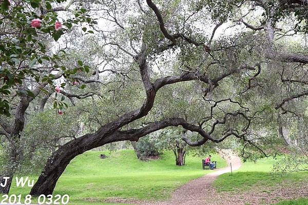 0320 Descanso Gardens (179).JPG