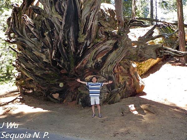 紅杉國家公園 Sequoia National Park