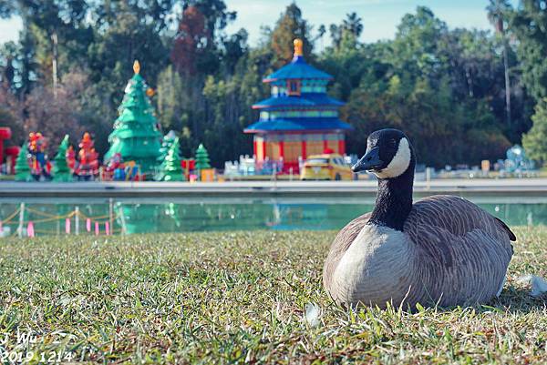 20191214 洛杉磯植物園 (23).JPG