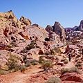 火谷州立公園 Valley of Fire (59).JPG