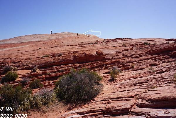 火谷州立公園 Valley of Fire (3).JPG