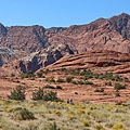 史諾峽谷 Snow Canyon (12).JPG