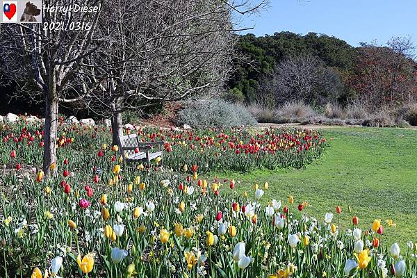 南海岸植物園 South Coast Botanoc Garden (10).JPG