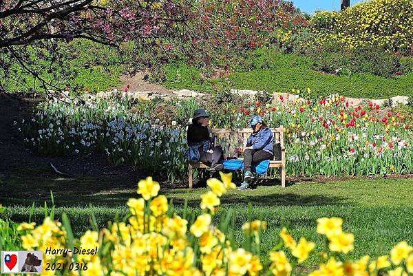 南海岸植物園 South Coast Botanoc Garden (4).JPG