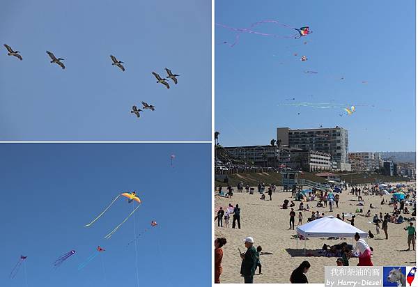 洛杉磯雷當多海灘Redondo Beach (13).JPG