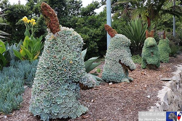 洛杉磯南海岸植物園 (7).JPG