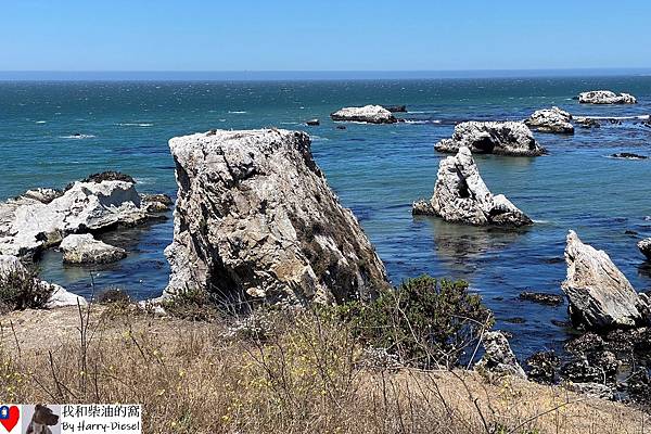 皮斯摩海灘 Pismo Beach (4).JPG