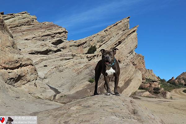 Vasquez Rocks 華斯克巨岩公園 (27).JPG