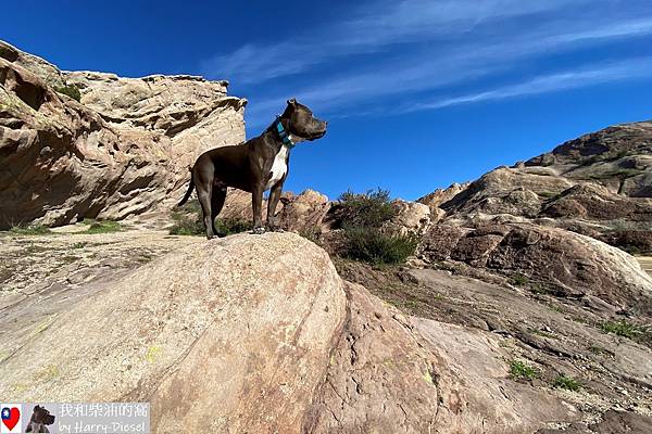 Vasquez Rocks 華斯克巨岩公園 (34).JPG