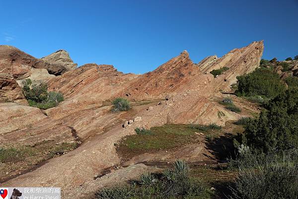 Vasquez Rocks 華斯克巨岩公園 (8).JPG