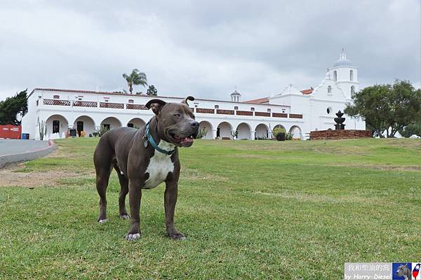 20230613 Mission San Luis Rey, Taro (20).JPG