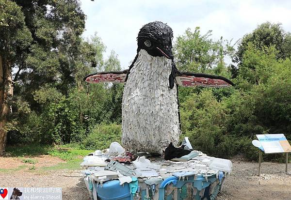 南海岸植物園 (20).JPG