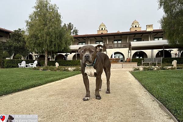 酒鄉熱氣球 Temecula (27).JPG