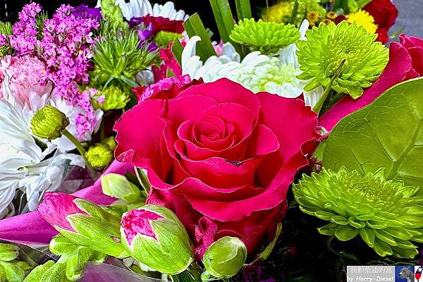 在 Line 的閒聊 – 雲與鱉