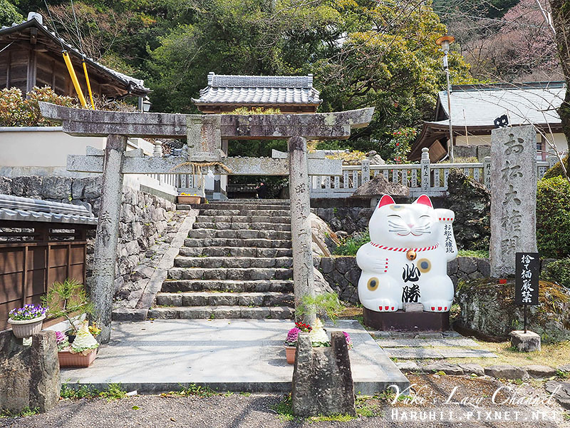 德島貓咪神社.jpg 德島貓咪神社.jpg