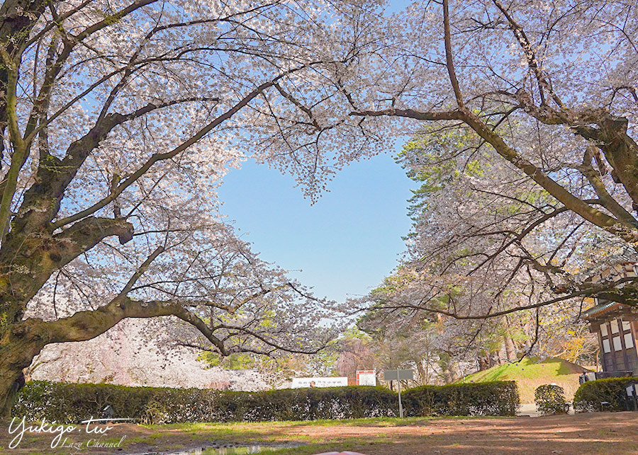 [遊記] 青森 弘前城/弘前公園賞櫻 4/12花況 交通