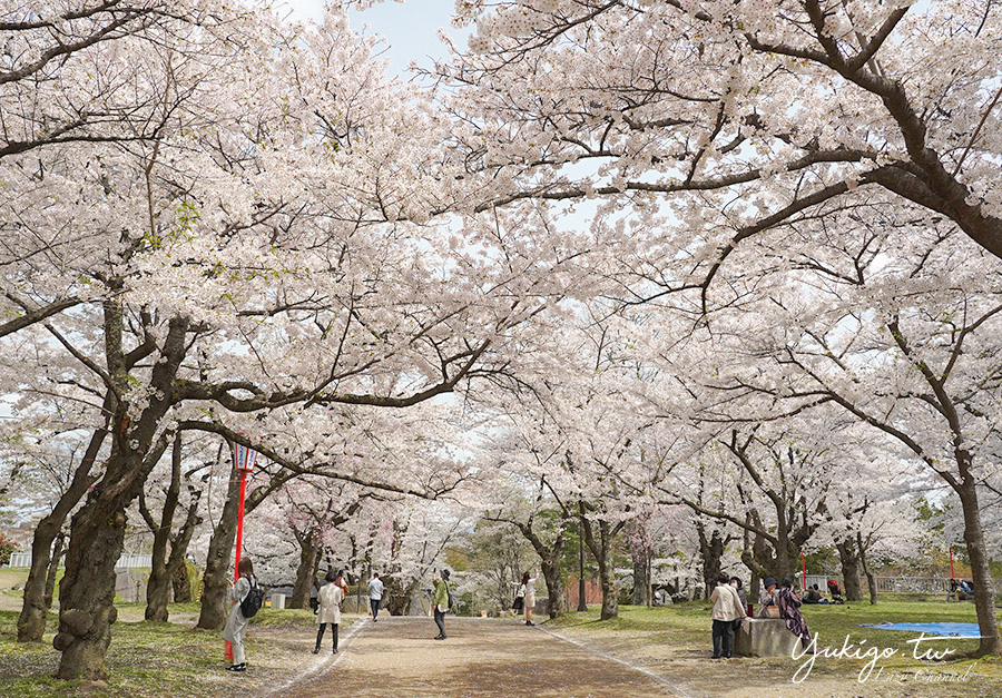 [遊記] 岩手 盛岡城跡公園(岩手公園) 盛岡賞櫻