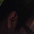 DSC00912.JPG