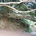 DSC00936.JPG