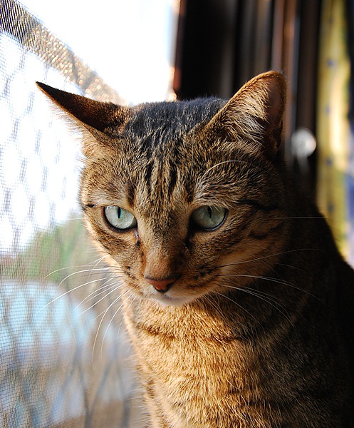 DSC_9183.JPG
