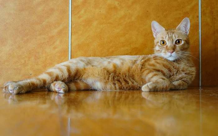DSC05504 DSC05504