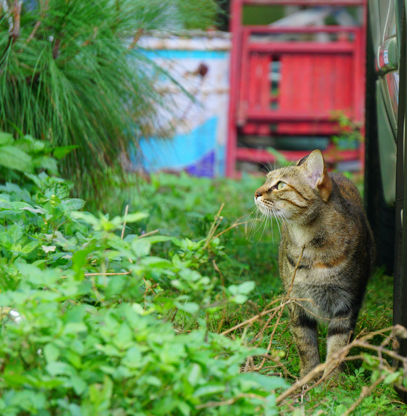 DSC07148.jpg DSC07148.jpg