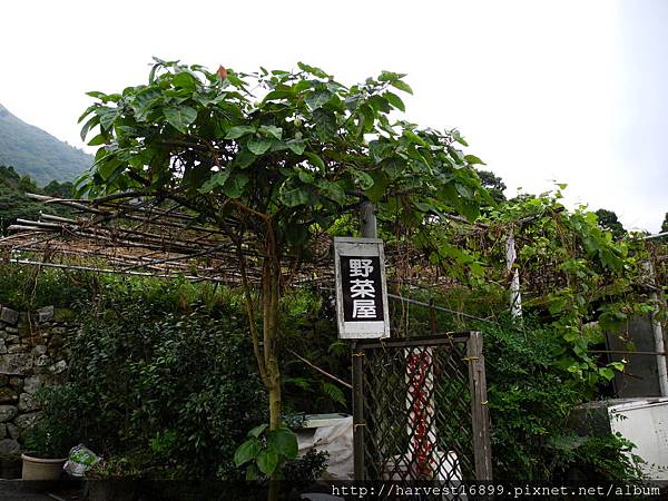 2014-10-3 陽明山野菜屋