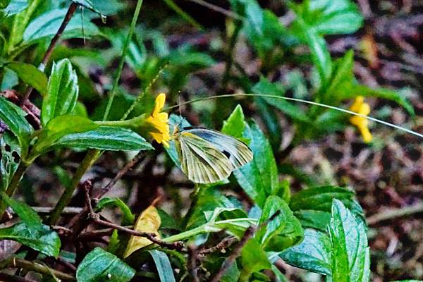 fotor14.jpg fotor14.jpg