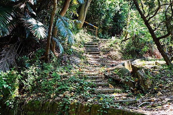 fotor24.jpg fotor24.jpg