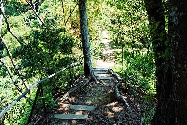 fotor27.jpg fotor27.jpg