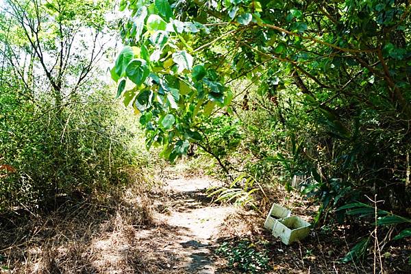 fotor43.jpg fotor43.jpg