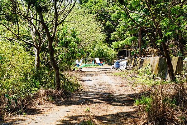 fotor47.jpg fotor47.jpg