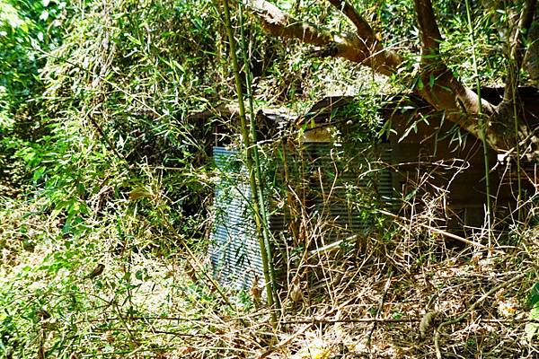 fotor46.jpg fotor46.jpg