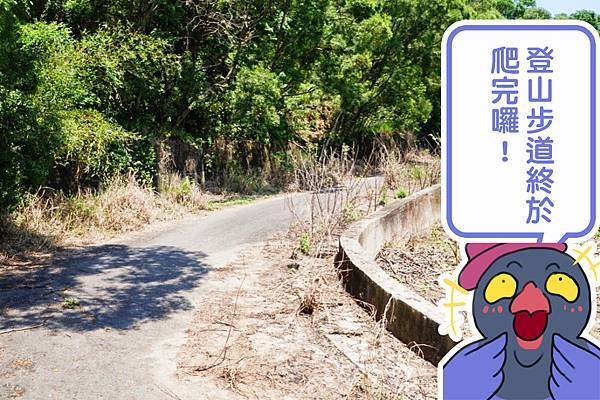 fotor48.jpg fotor48.jpg