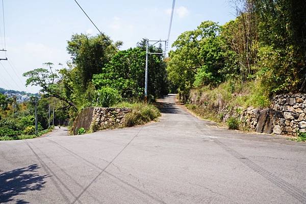 fotor54.jpg fotor54.jpg