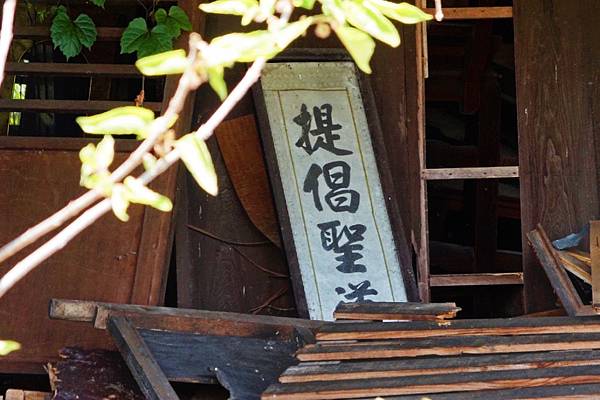 fotor52.jpg fotor52.jpg