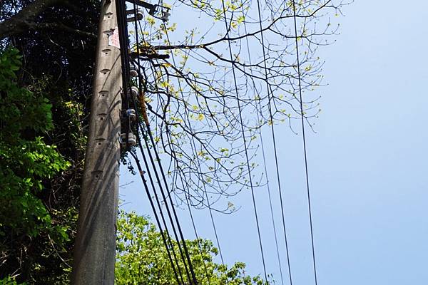 fotor58.jpg fotor58.jpg