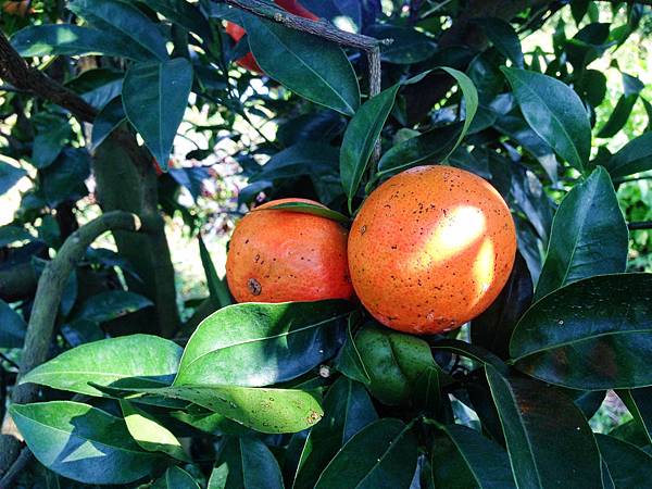 yunxian03.jpg yunxian03.jpg