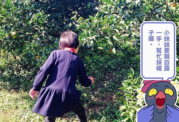 yunxian05.jpg yunxian05.jpg